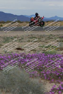 media/Jan-14-2023-SoCal Trackdays (Sat) [[497694156f]]/Turn 14 Exit Bloomig (145pm)/
